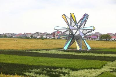 生活在风景中 丨 市容环境“百年百景”崇明篇