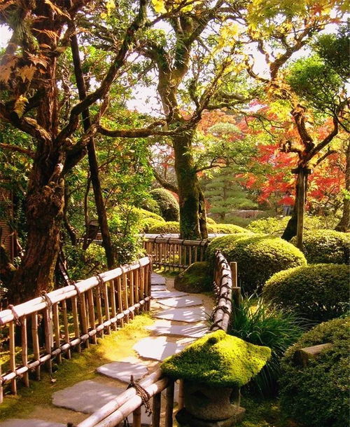 植物季相空间营造,绝美
