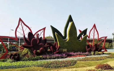 秀洲仿真绿雕五色草绿雕植物绿雕价格优之林景观