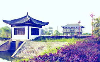 田园美景醉游人