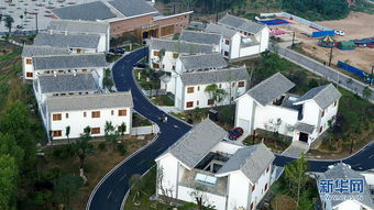 秦岭深处的音乐小镇 彩色花海中的景观艺术交融