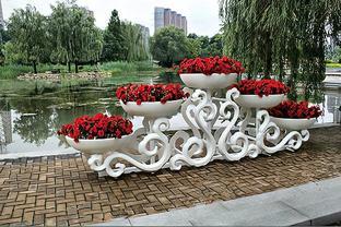 社会主义新农村建设背景下乡村景观植物的应用与配置模式探究